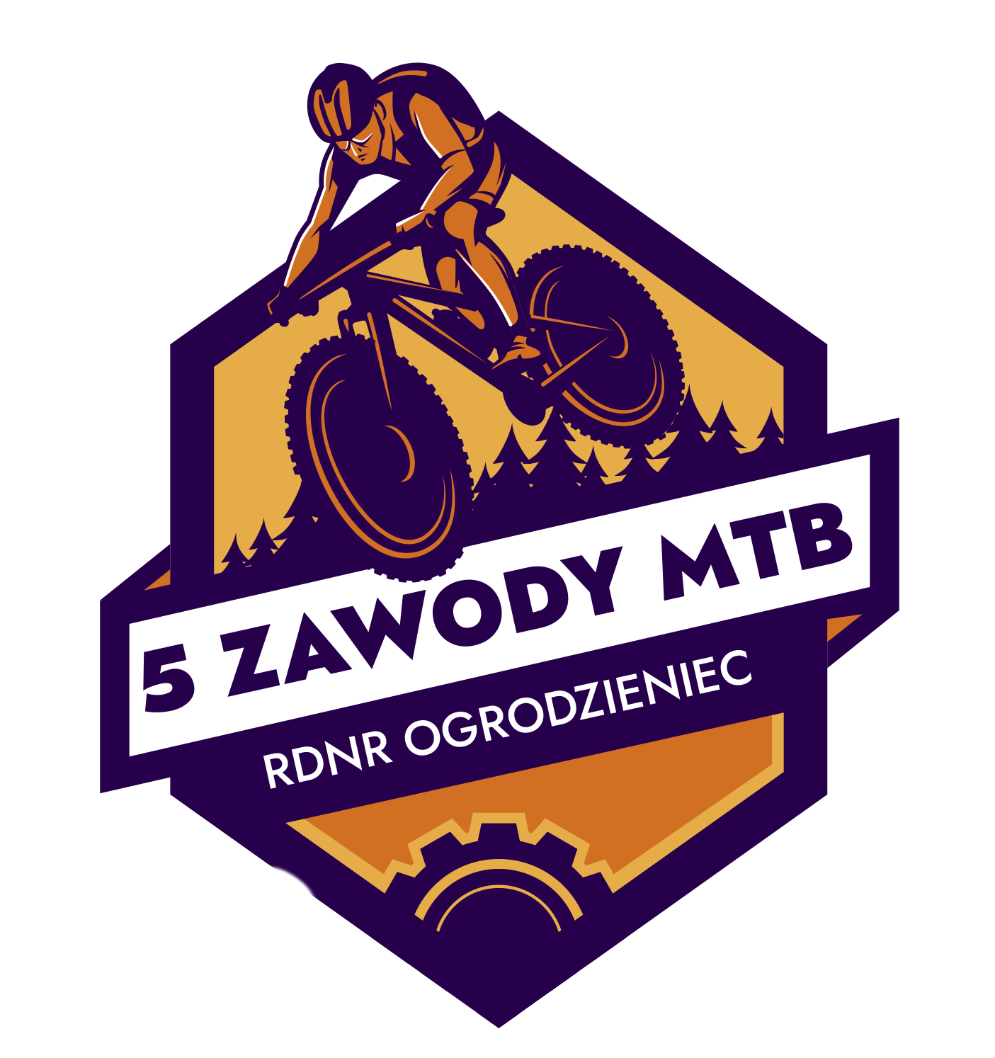 Competition Image