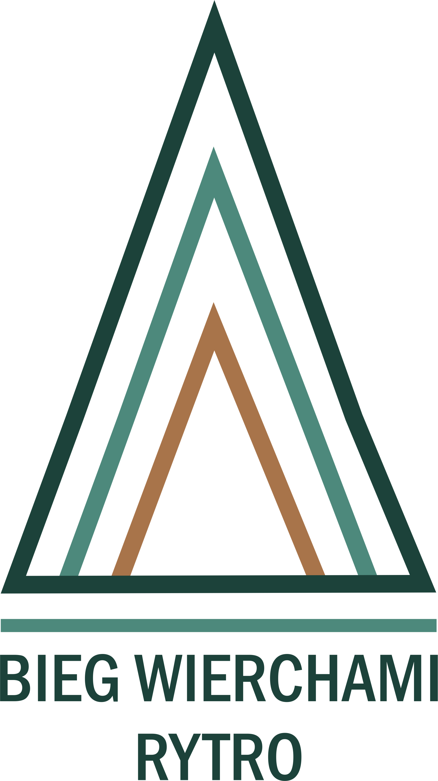 Competition Image