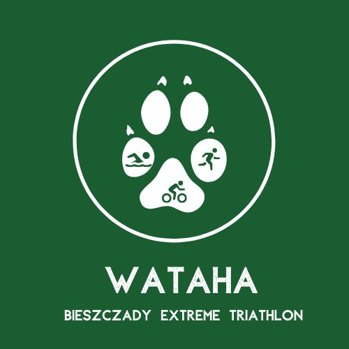 Competition Image